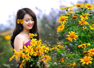 Du khách ngắm hoa dã quỳ vàng rực ở Đà Lạt