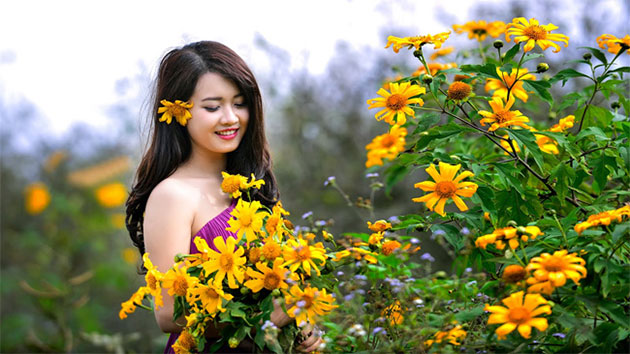 Du khách ngắm hoa dã quỳ vàng rực ở Đà Lạt