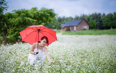 Thời điểm mùa thu Đông Bắc là khoảng thời gian thích hợp nhất để ngắm mùa hoa tam giác mạch