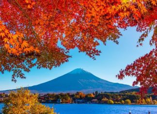 Du lịch mùa thu Đài Loan - Ngập tràn sắc thu