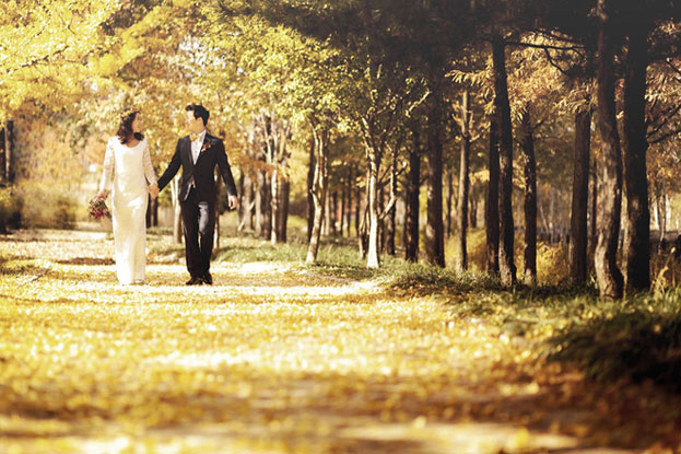 Mùa thu Hàn Quốc, mùa được nhiều cặp đôi lựa chọn để chụp hình cưới
