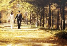 Mùa thu Hàn Quốc, mùa được nhiều cặp đôi lựa chọn để chụp hình cưới