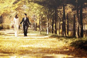 Mùa thu Hàn Quốc, mùa được nhiều cặp đôi lựa chọn để chụp hình cưới