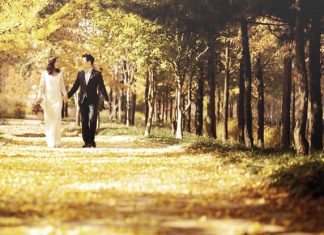 Mùa thu Hàn Quốc – Khúc giao của tình yêu Mùa thu Hàn Quốc, mùa được nhiều cặp đôi lựa chọn để chụp hình cưới