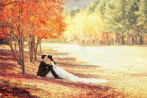 Nami hòn đảo nổi tiếng với vẻ đẹp ngất ngây