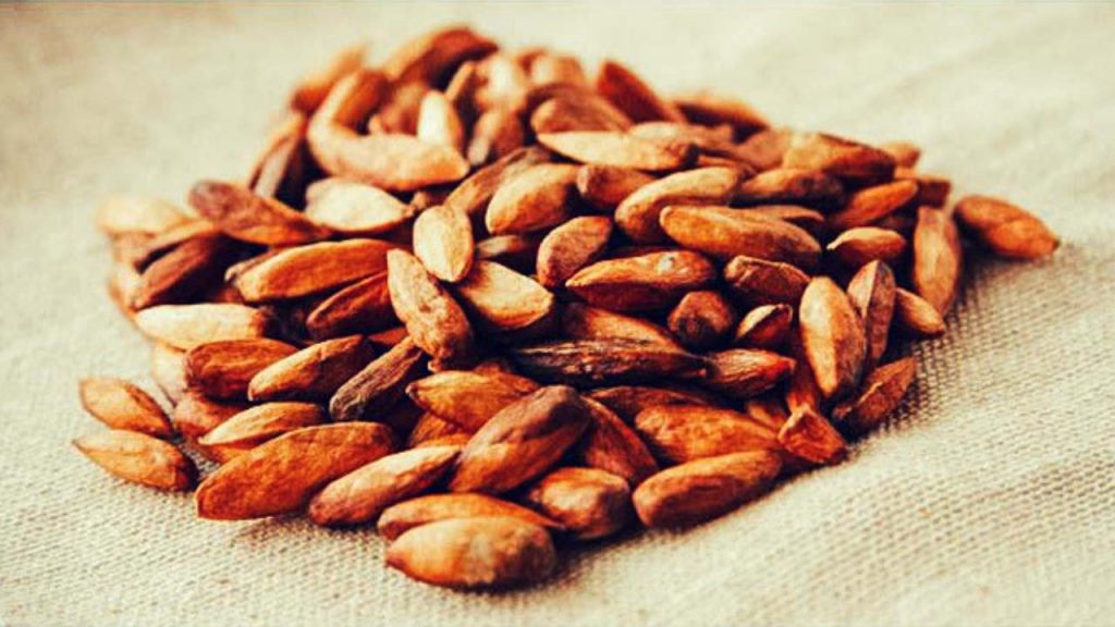 Mứt hạt bàng đặc sản Côn Đảo