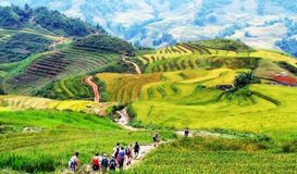 Những Tour du lịch trong nước trong ngày nên đi