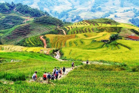 Những Tour du lịch trong nước trong ngày nên đi