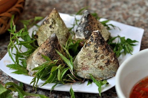 Ốc vú nàng với hình dáng độc đáo