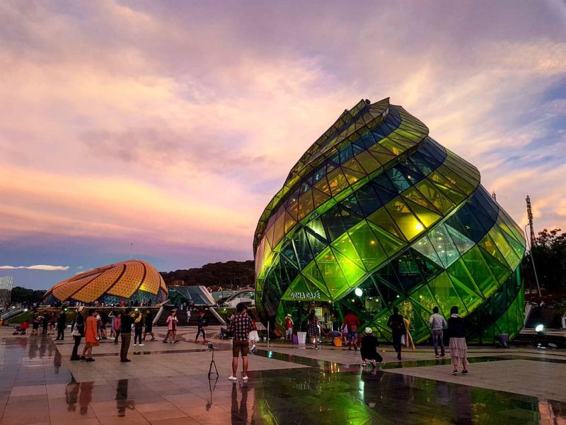 Quảng trường Lâm Viên Đà Lạt với bông hoa dã quỳ và nụ Atiso khổng lồ