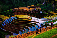 Vẻ đẹp ruộng bậc thang Sapa mùa nước đổ