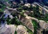 Ruộng bậc thang Sapa mang vẻ đẹp của một bức tranh thiên nhiên tuyệt đẹp