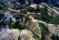 Ruộng bậc thang Sapa mang vẻ đẹp của một bức tranh thiên nhiên tuyệt đẹp