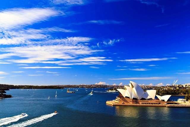 Hình ảnh một người đang điền thông tin vào tờ khai visa