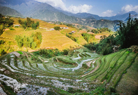 Thung lũng Mường Hoa với ruộng bậc thang