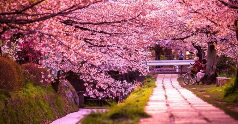 Khám phá những điểm du lịch Nhật Bản