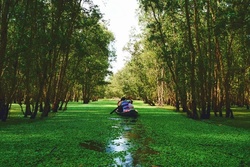 Cánh đồng Tà Pạ