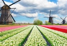 Du lịch Hà Lan những điểm du lịch hấp dẫn tour du lich ha lan