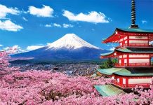 Núi Phú Sĩ phủ tuyết trắng xóa trong một Tour Du lịch Nhật Bản