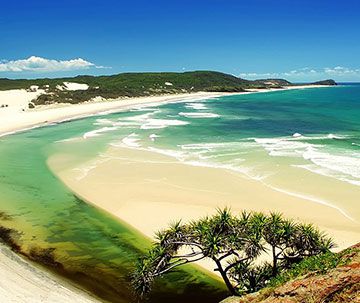 Ghẹ Hàm Ninh tươi ngon