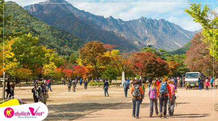 Mùa Thu Hàn Quốc tiết trời se se lạnh