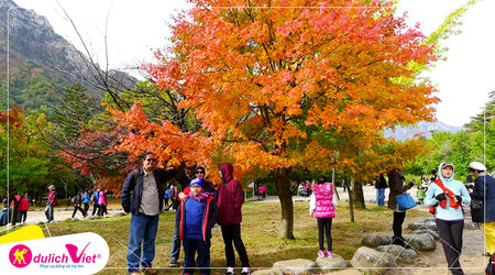 Chuẩn bị trang phục nên mặc khi du lịch Hàn Quốc mùa Thu là rất cần