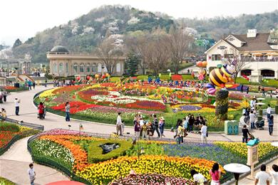 Đảo Nami, điểm đến lãng mạn trong tour Hàn Quốc