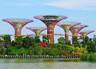 Top 5 địa danh du lịch Singapore nổi tiếng bạn phải đi một lần trong đời Vịnh Marina