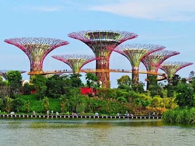 Vịnh Marina Singapore với những siêu cây rực rỡ